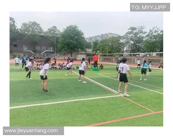 成都排球队的转型之路：从传统到现代的全面革新探索