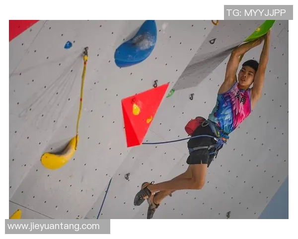 成都攀岩队荣获全国攀岩团队协作排行榜第三名的佳绩