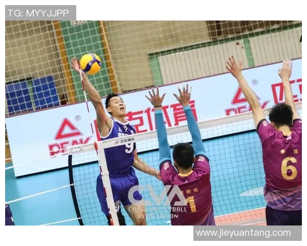 排球心理素质评比揭晓上海排球队荣登第六名榜单