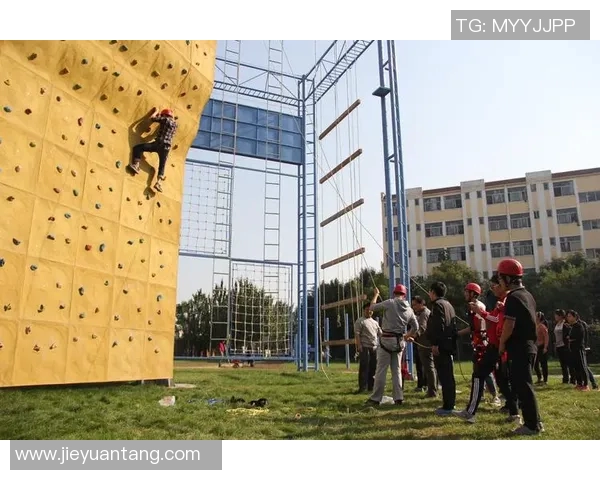 攀岩精神的力量：深入剖析上海攀岩队员的心理素质与挑战