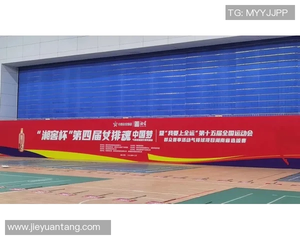 杭州排球队排球意识创新高引发全国关注与热议 杭州排球队排球意识创新高引发全国关注与热议