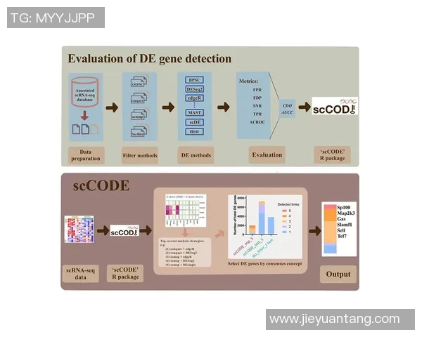 深圳排球队团队协作表现的数据分析与提升策略探讨