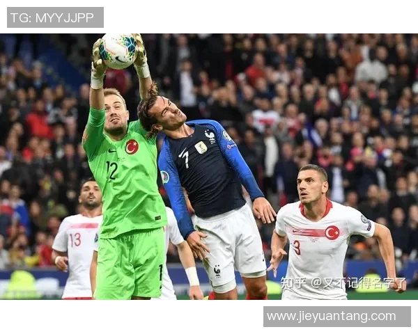 法国队与乌克兰精彩对决录像回放全程分析与精彩瞬间集锦