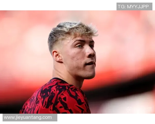 霍伊伦的传奇人生与不屈精神探索之旅 霍伊伦的传奇人生与不屈精神探索之旅