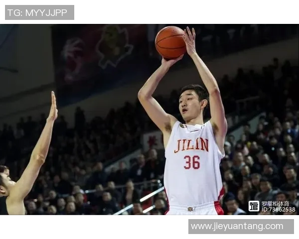 代怀博的成长之路与未来发展展望：从初创到行业领军者的蜕变历程